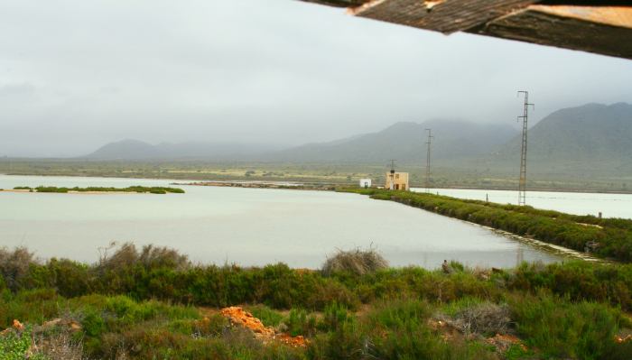 marismas cabo gata